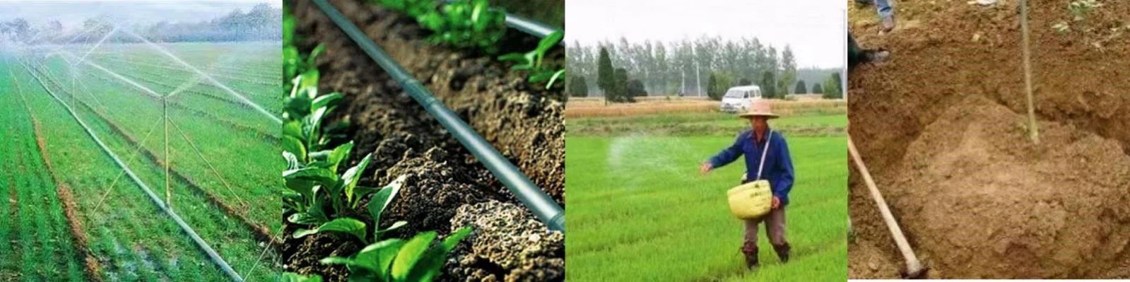 product-1-1 product-1-1